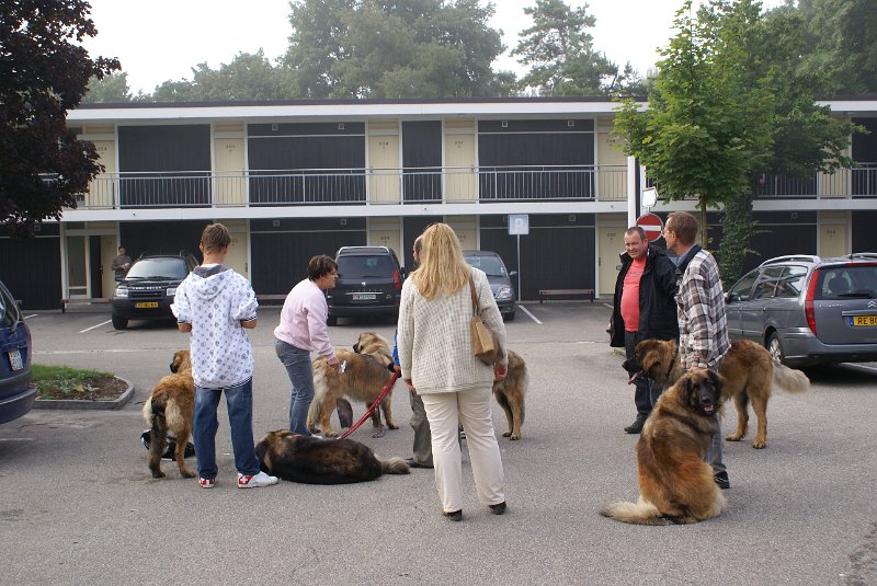 Nachzuchttreffen 08_08 016.jpg - Treffen auf dem Parkplatz